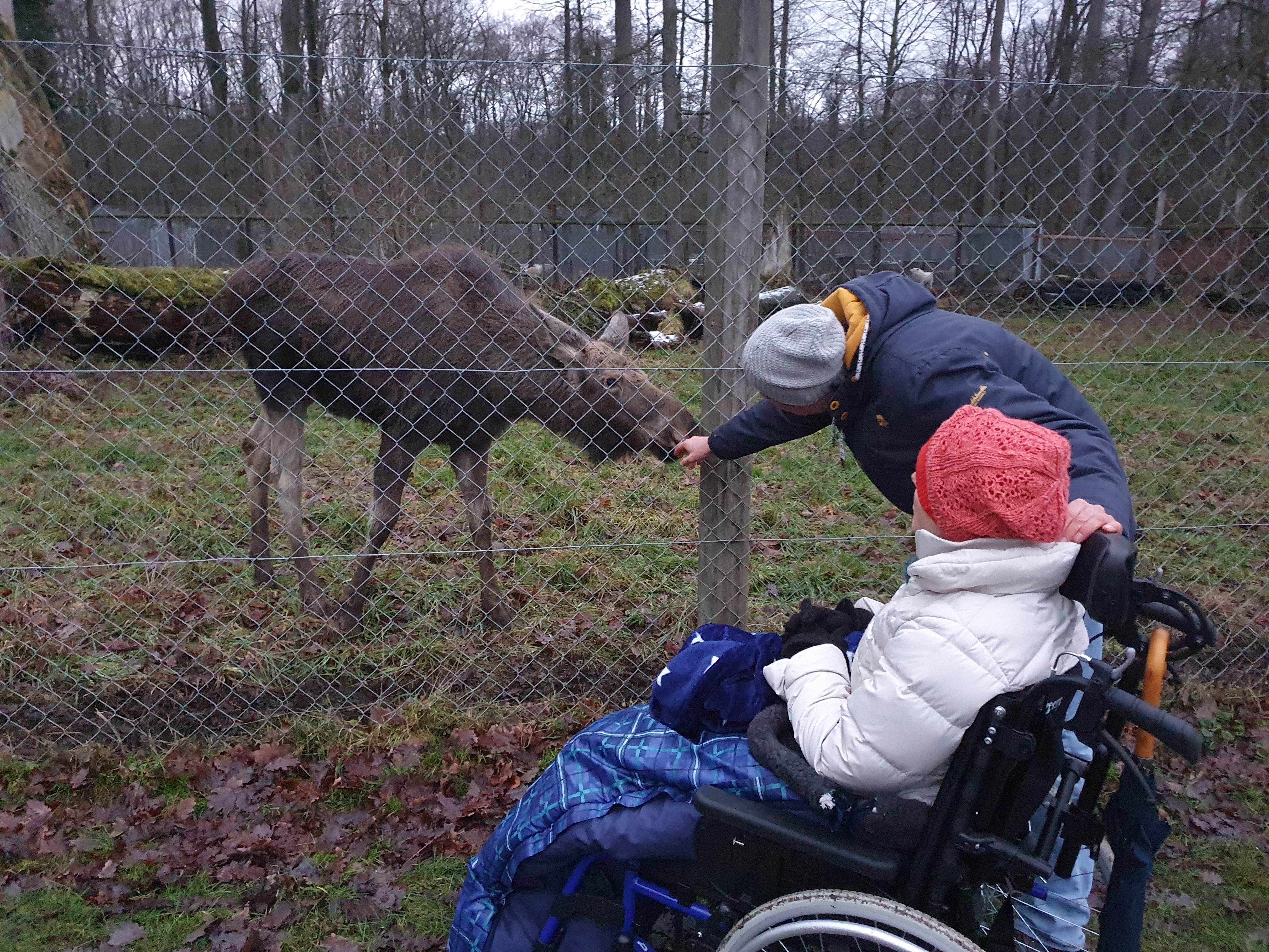 100 Dinge, die man in Niedersachsen getan haben muss, Wandern, Outdoor, Kategorien