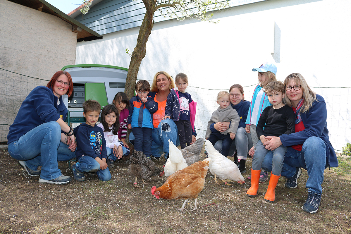 Hühnereier aus dem Kita-Garten