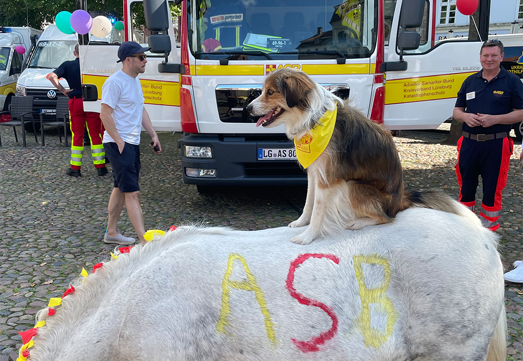 20230820_asb_lg_jubilaeum_marktplatz_08_pony1.jpg