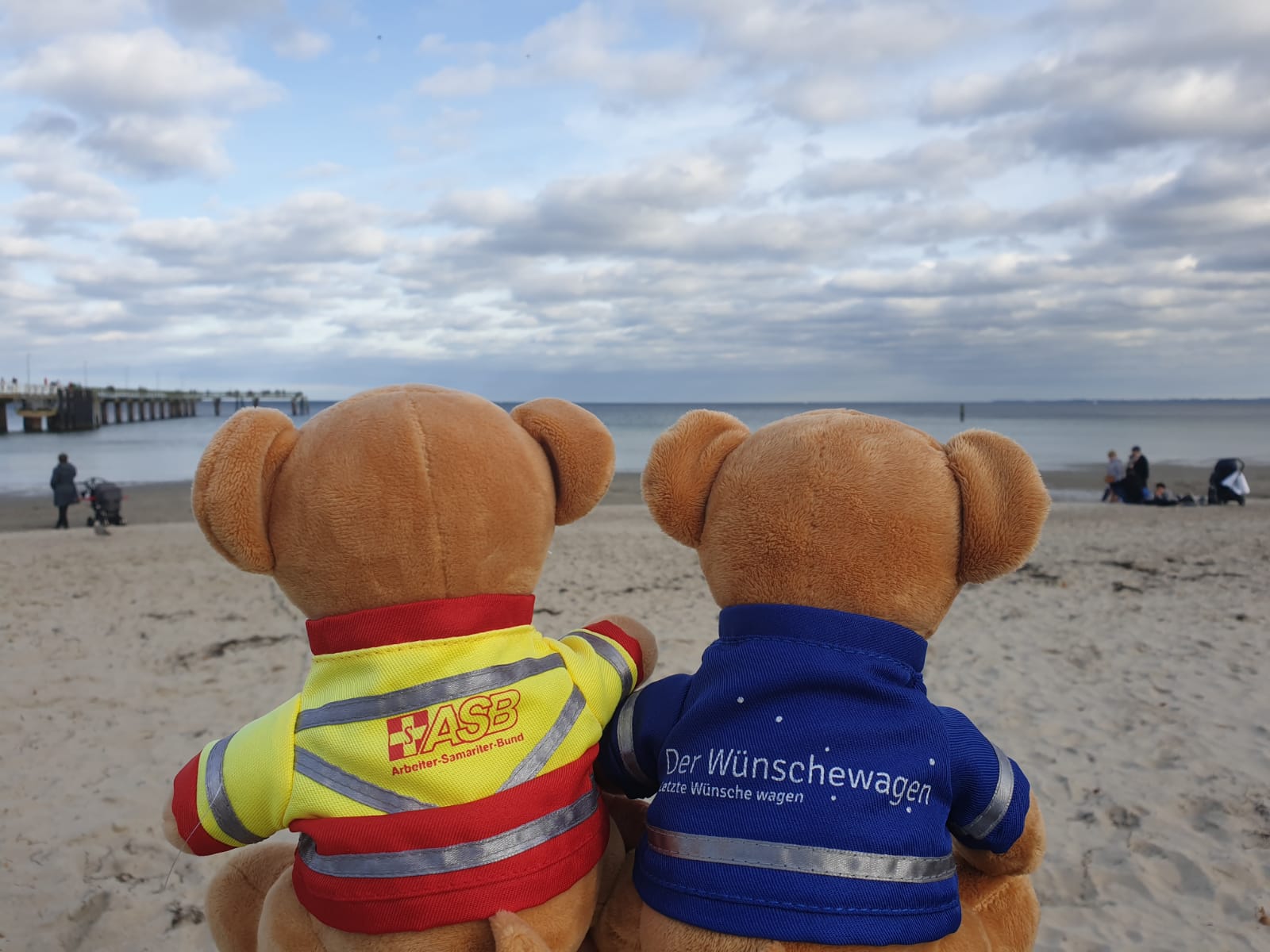 Teddys am Strand.JPG