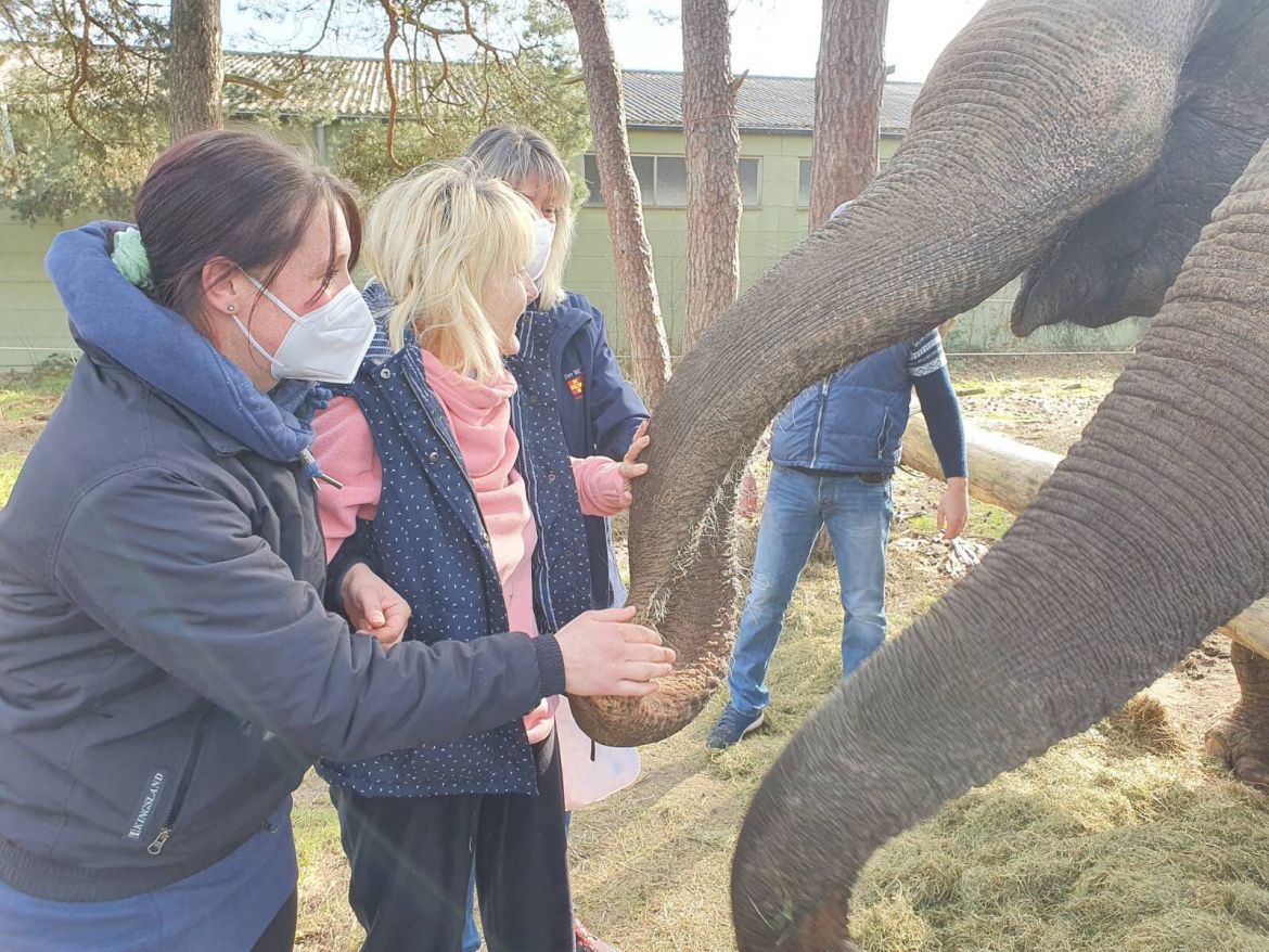 Elke und Cindy füttern die Elefanten.JPG